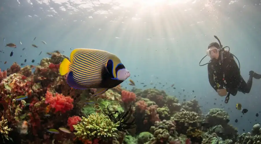 Scuba diving session at the famous Sipadan Marine Park Grand Dive Resort
